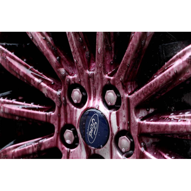 Beast (wheel cleaner)