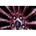 Beast (wheel cleaner)